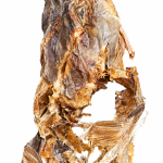 Stockfish/ okporoko