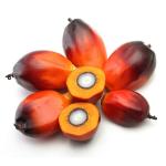 100% Organic Palm Oil (500g) | Original Nigerian Red Oil