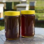 Spice & Sweetness Box (Buy Cinnamon + Honey + Tiger Nuts)