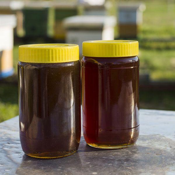 Spice & Sweetness Box (Buy Cinnamon + Honey + Tiger Nuts)